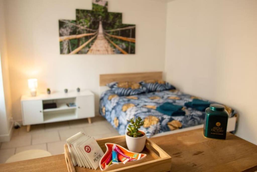 Studio Cosy Tv Wifi Confortable Et Chaleureux Gaillon Zewnętrze zdjęcie